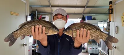 고삼지 상류권포인트 사짜조황입니다.