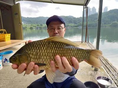화곡낚시터 주말조황 