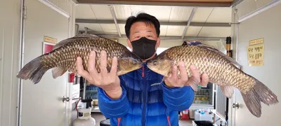 고삼지 봄시즌 사짜붕어 RUN !!