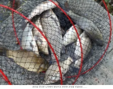 밤낚시에 진한손맛을 볼수있습니다....