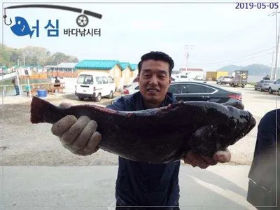 5월5일 어심바다낚시터조황 