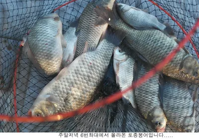 오늘이 가장 더운날입니다....