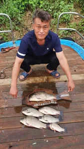 고삼지 상류권 붕어타작중!!