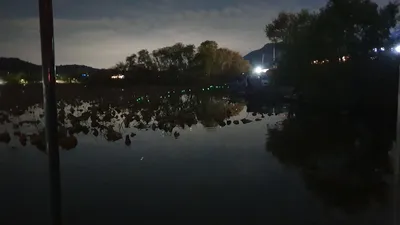 아산 명품 월랑낚시터 11월 조황화보입니다...^^