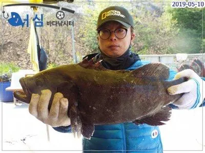 5월10일 어심바다낚시터조황