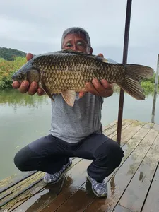 고삼지 독보적인 상류권 최고의 포인트