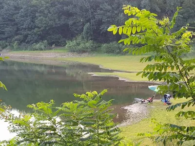 아름다운장계지에서