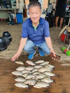 봄시즌보다 더 좋은 고삼지 조황입니다.