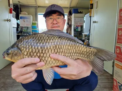 고삼지 상류권 사짜붕어 조황입니다.