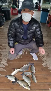 고삼지 상류권 포인트 조황입니다.