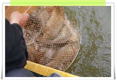 개장을 앞두고 조화을 살펴보니....