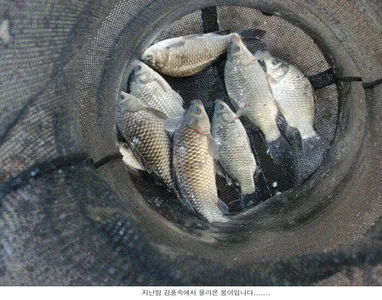 눈내리고 바람불고....