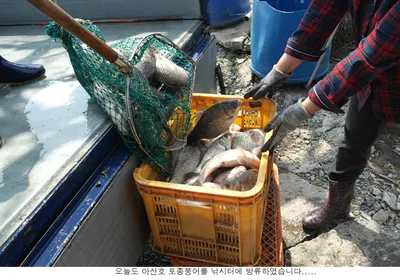 방류도하고 조황도 올리고....