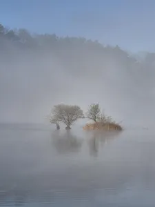 화곡낚시터 조황정보