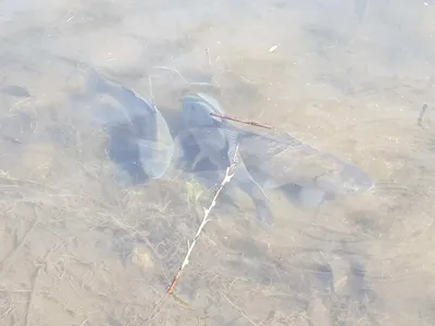 아름다운장계지에서