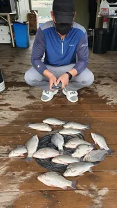 고삼지 양촌좌대 양어장 조황??