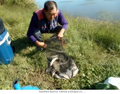 역시 주말 보다는 주중 조황이.....