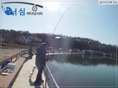 4월5일어심바다낚시터조황