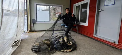 양평 힐링 수곡낚시터 주중반 조황 좀더 나와주네요 내일 대호만 토종붕어 대량방류