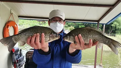 고삼지 안정적인 수위!! 조황입니다.