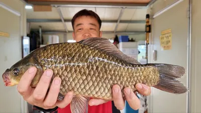 고삼지 상류권 덩어리손맛에 행복합니다.