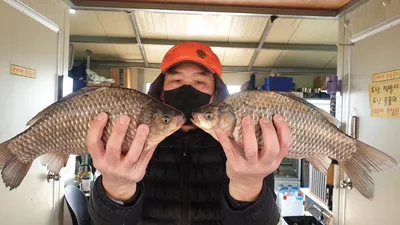 고삼지 상류권 전체적인 호조황!!