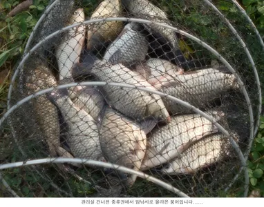 추위속에서도 올라옵니다...