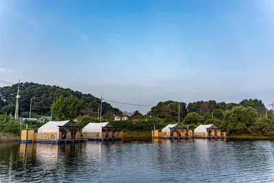 안성 두메낚시터 10월 2일 조화정보