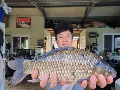 고삼지 역배수중 중상류 물골포인트 사짜붕어