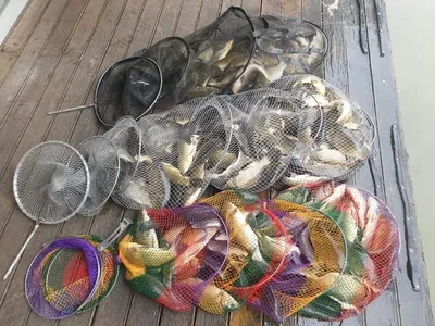 반제지 주말조황정보입니다 