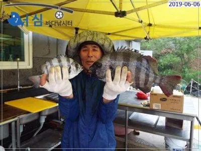 6월6일 어심바다낚시터조황