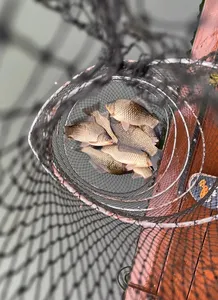 송전낚시터 제일집 4월 둘째 주 조황입니다.