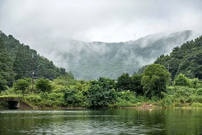 안성 두메낚시터 7월 26일 조황정보