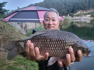 용담대물낚시터 