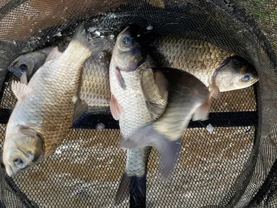 아름다운계곡속에자리잡은장계지에서