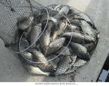 비가 내리고 있는 신봉지입니다....