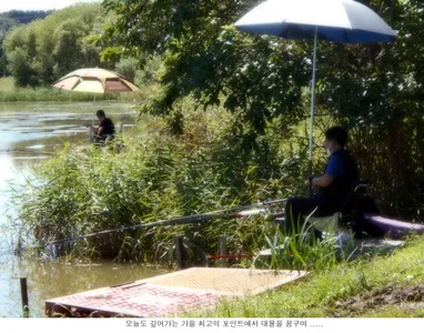 풍족한가을 신봉지의 조황입니다....