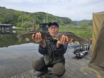 배수없는 항곡지  조황