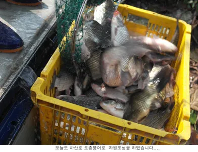 10월 마지막 주말입니다...