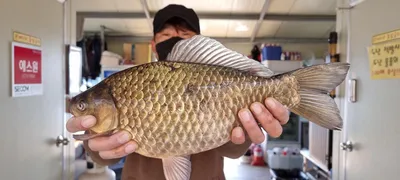 봄바람에 어울리는 4월~ 고삼지 사짜조황!!