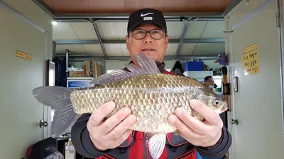 고삼지 사짜붕어외 덩어리 행보중!!