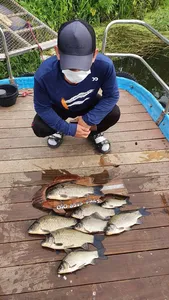 고삼지 여름 피크타임!! 덩어리 조황!!