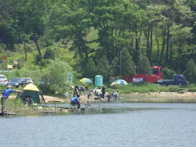 국화지 5월 네째주말 조황