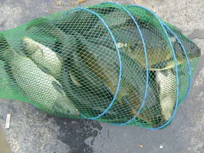 5월5일 지각 산란중!!