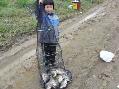 국화지 4월 네째주말 조황