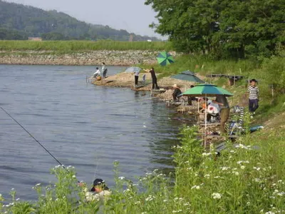 6월 첫째주말 조황