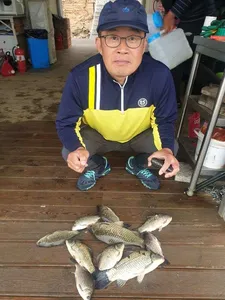 고삼지 마리수 대박조황 입니다.