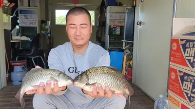 고삼지 양촌좌대 좌대 배치중!!