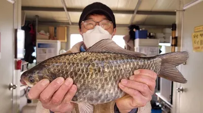 고삼지 첫 사짜붕어 신고식!!