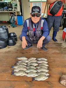 고삼지 양촌좌대포인트 양어장 수준입니다.